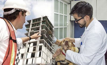 Ciencias Veterinarias e ingeniería Civil de la UNA recibieron acreditación ARCU-SUR