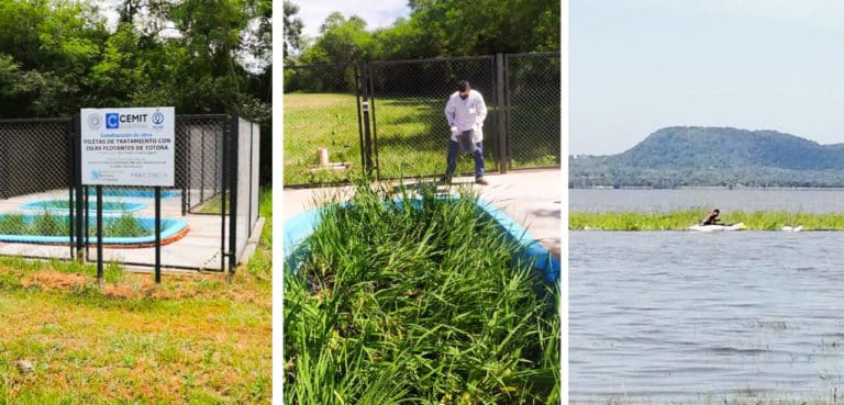 Biorremediación, una opción ecológica para la recuperación de aguas contaminadas