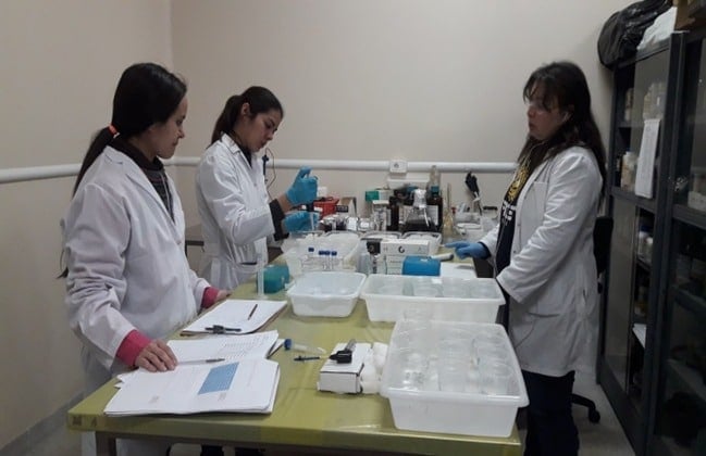 Wolbachia: IICS y FP-UNA colaboran en proyecto biotecnológico para controlar vectores de dengue