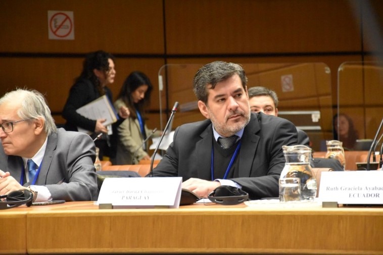 CNEA-UNA participa de reunión para el fortalecimiento de la Cooperación Estratégica Regional del OIEA