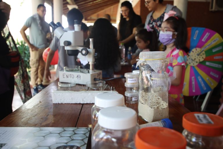 Colonia de Vacaciones Kunumi contó con 70 niñas y niños que participaron de las experiencias