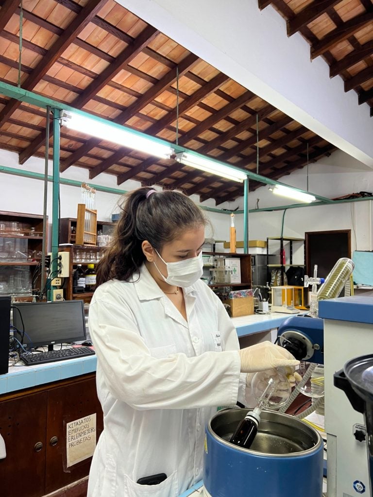 Del saber ancestral a la ciencia: investigadora estudia el potencial antidepresivo del poleo’i o cedrón del monte